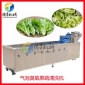 粽葉清洗機 多功能氣泡沖浪噴淋洗菜機 果蔬清洗機械設備